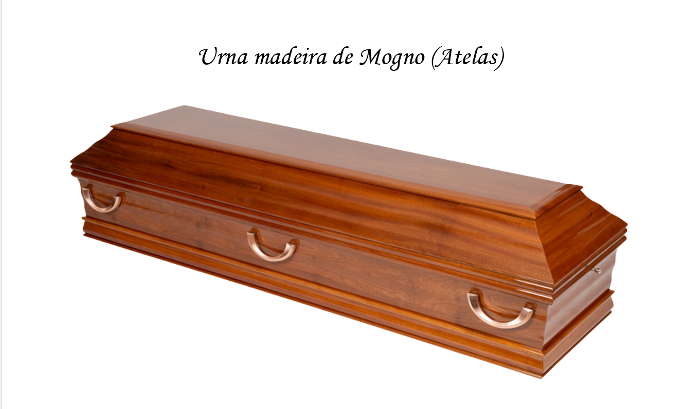 Mogno — Atelas